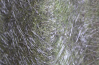 Sellack fibreglass roof work